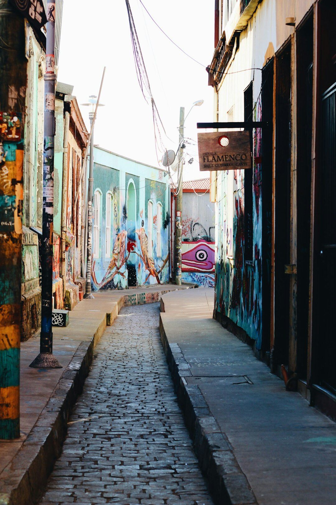 Documentary photographer taking pictures in a colorful Valparaíso street
