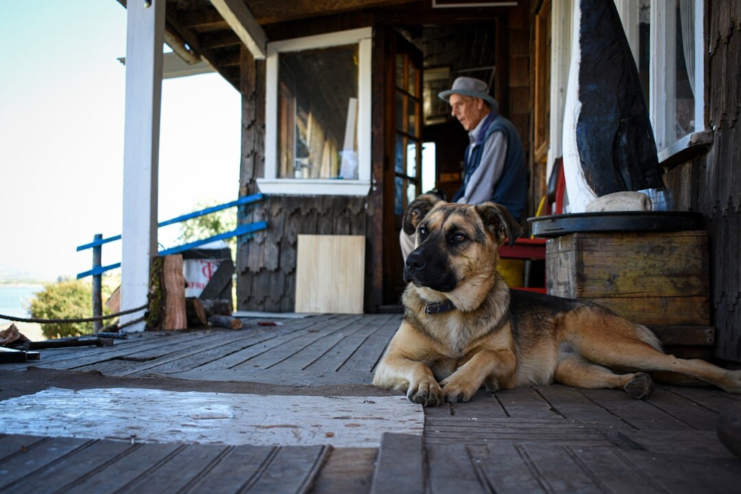 Journalist interviewing an elderly man on a wooden porch